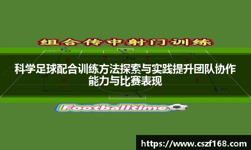 3377体育官网